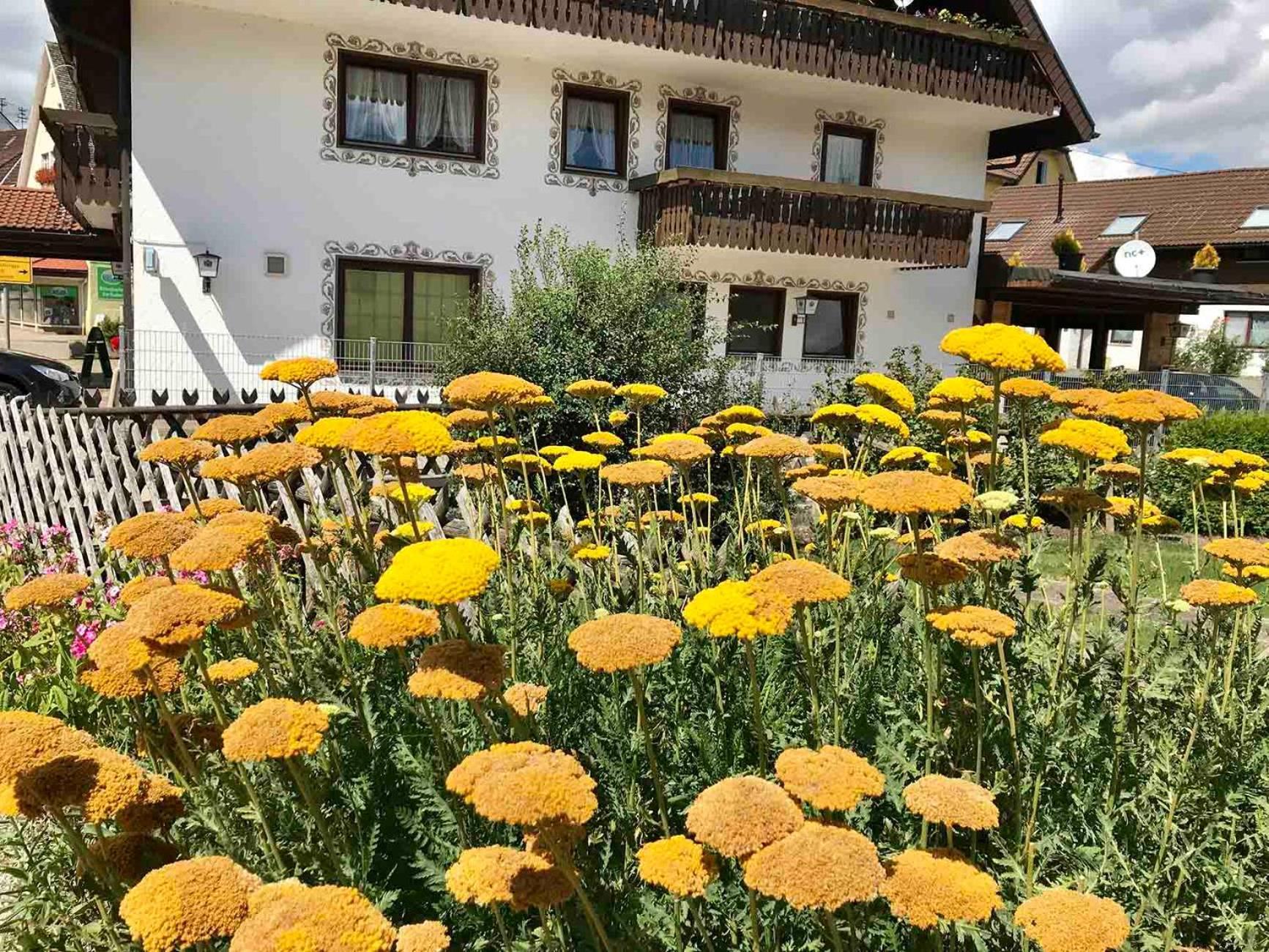 Gaestehaus Roessle Roetenbach  Экстерьер фото